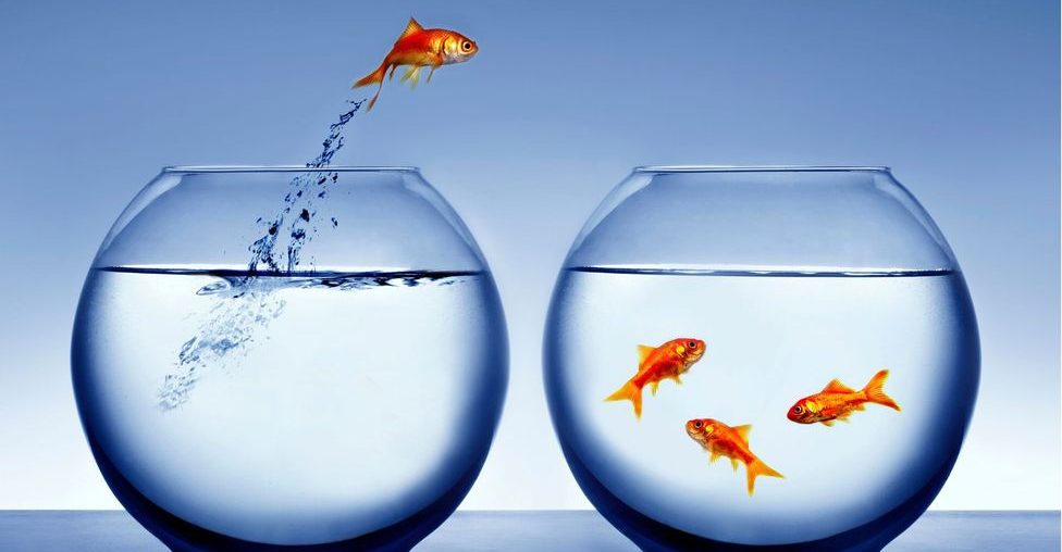 Transitioning From A Long-Term Job